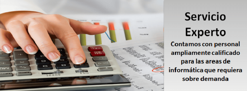 Servicio Experto